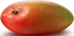 payari mango 1